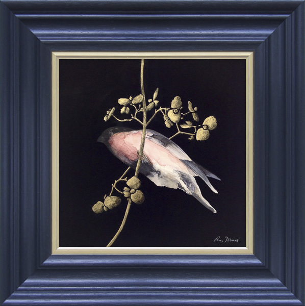 BULLFINCH (GOLD SPRIG)